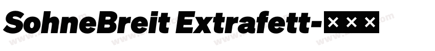 SohneBreit Extrafett字体转换